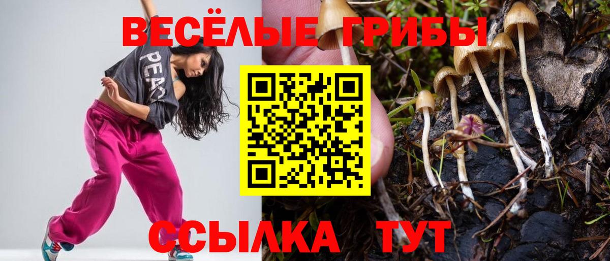 Галлюциногенные грибы MAGIC MUSHROOMS  Вход с VPN  Галлюциногенные грибы MAGIC MUSHROOMS  Самара 